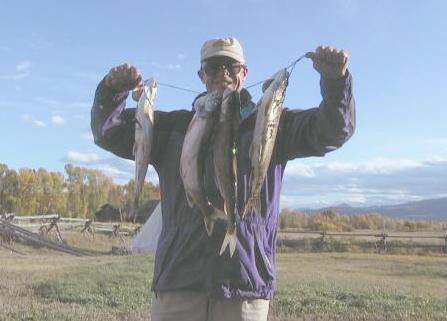 lake trout from Jackson Lake